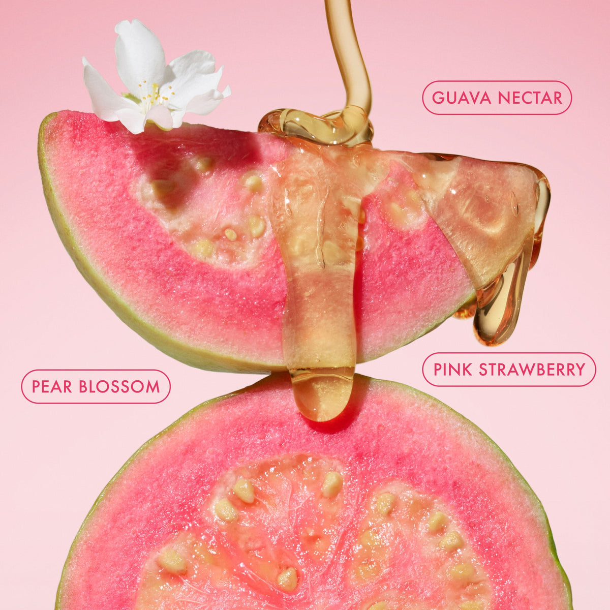 mini-body-butter-trio-a4 BodyButterBalmPinkGuava_3.jpg