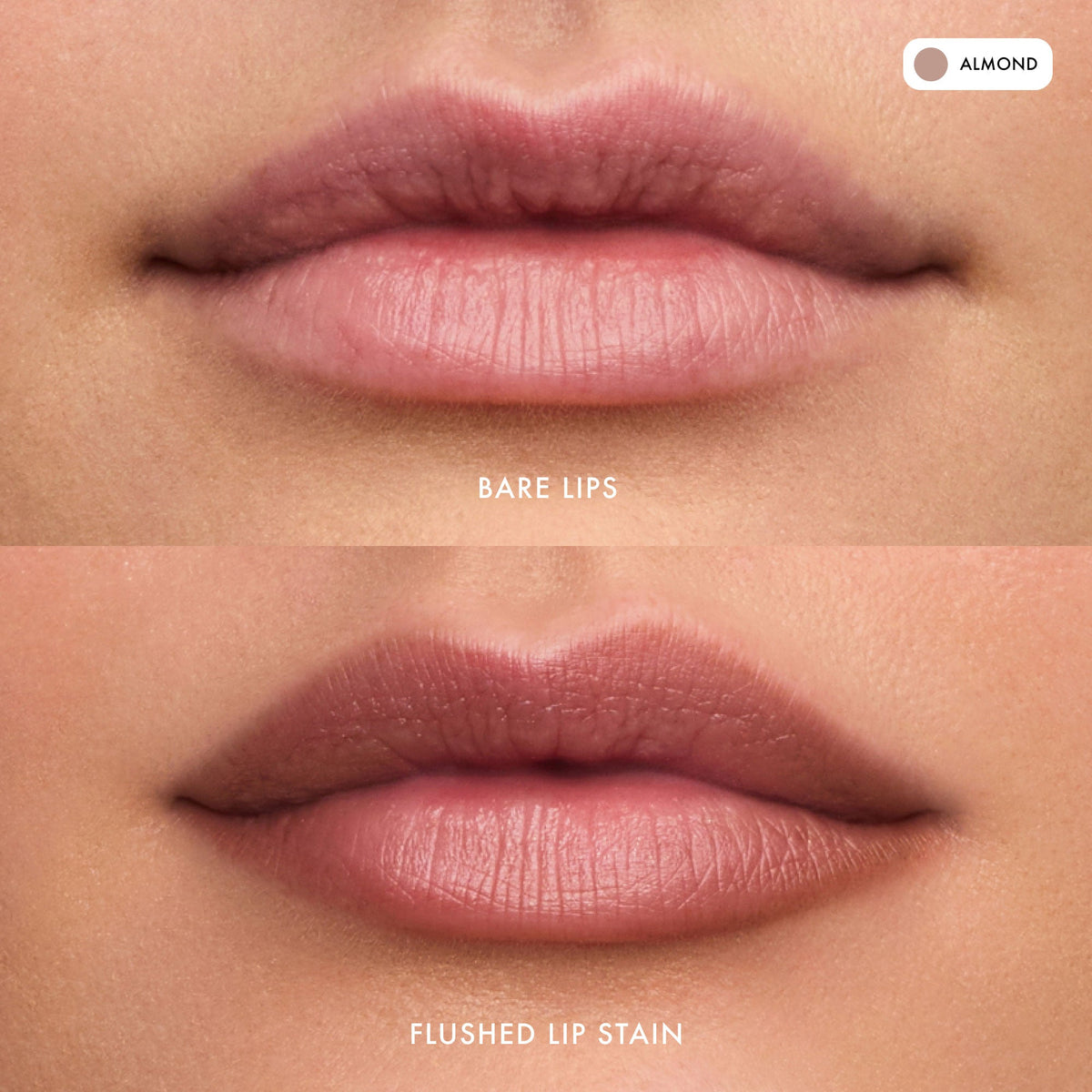 flushed-lip-stain-almond-z8 FlushedLipStain_Almond_B_A.jpg