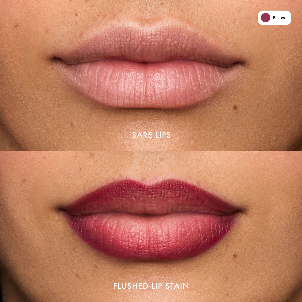 flushed-lip-stain-plum-y9 FlushedLipStain_Plum_B_A.jpg