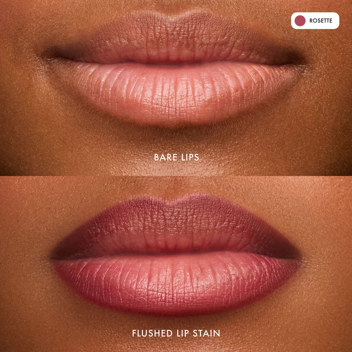 flushed-lip-stain-rosette-p1 FlushedLipStain_Rosette_B_A.jpg